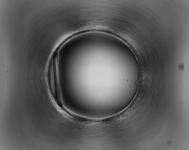 X0000098181038200804241217