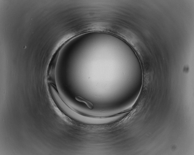 X0000098181042200804241217