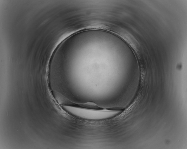 X0000098181044200804241217