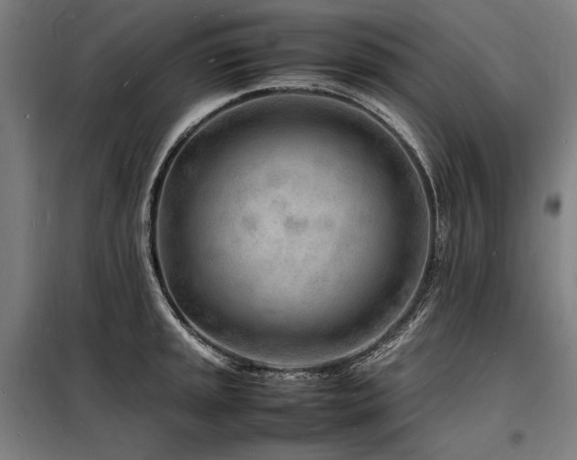 X0000098181045200804241217
