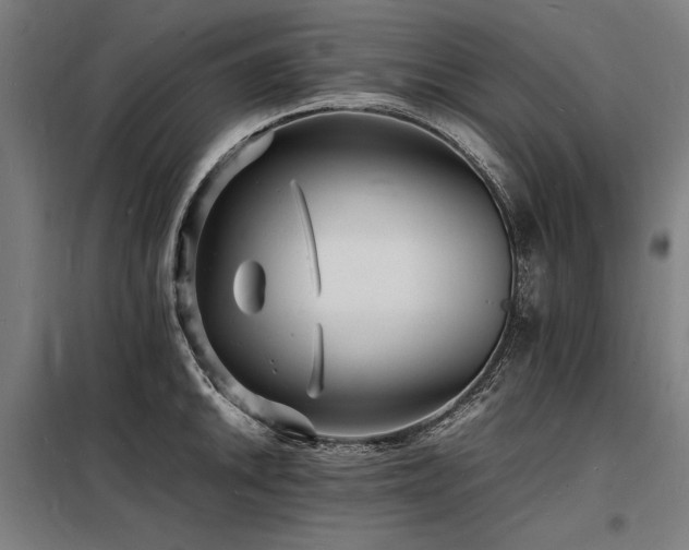 X0000098181046200804241217