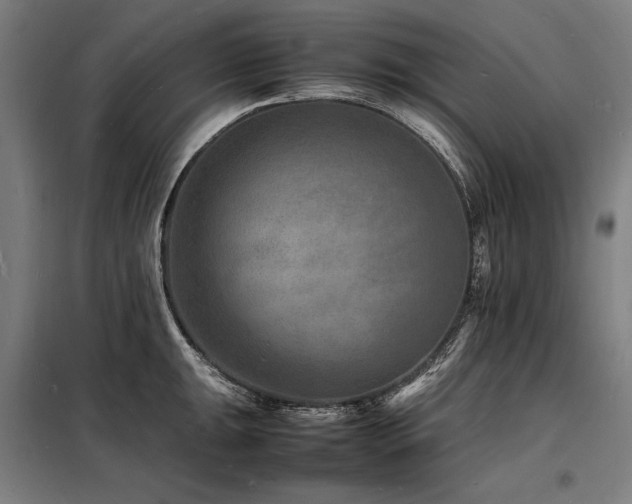 X0000098181047200804241217
