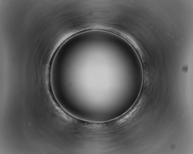 X0000098181048200804241217