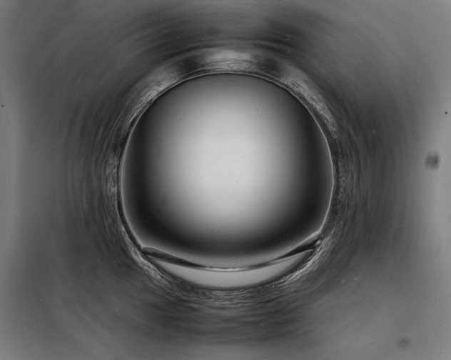 X0000098181049200804241217