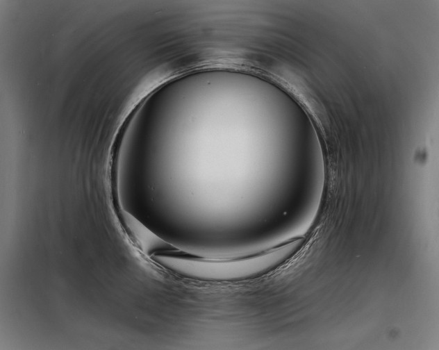 X0000098181050200804241217