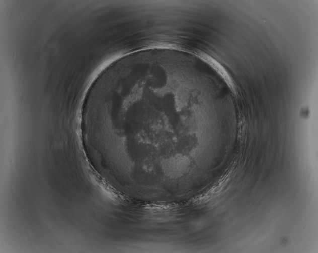 X0000098181051200804241217