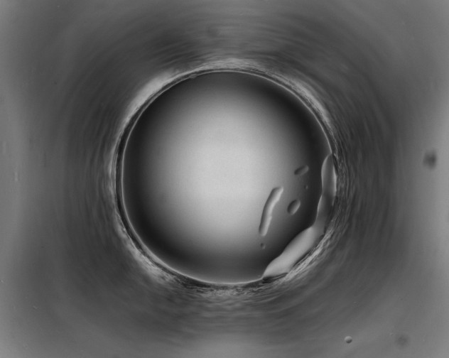 X0000098181054200804241217
