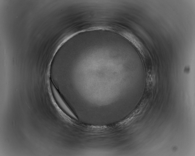X0000098181055200804241217