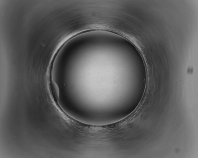 X0000098181056200804241217