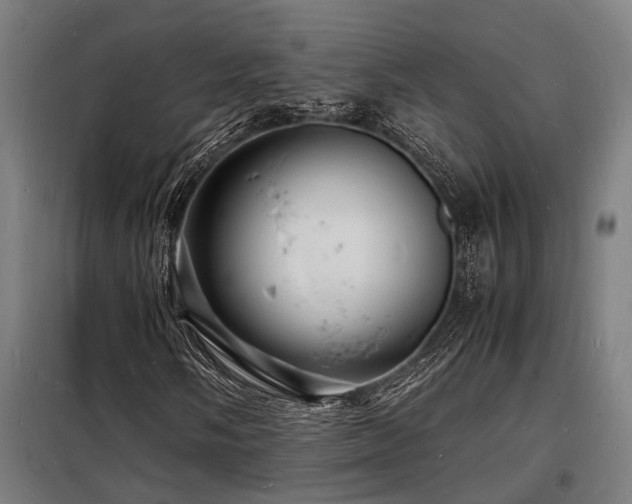 X0000098181058200804241216