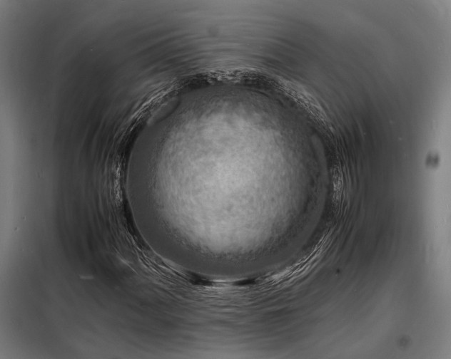 X0000098181060200804241216
