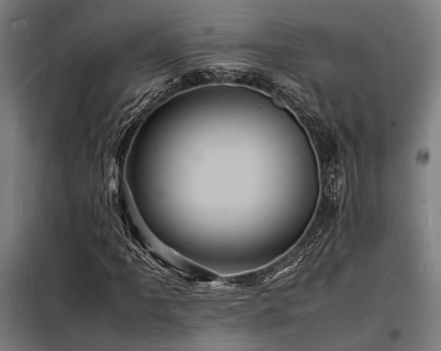 X0000098181061200804241216