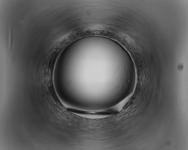 X0000098181062200804241216