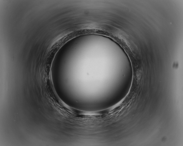 X0000098181064200804241216