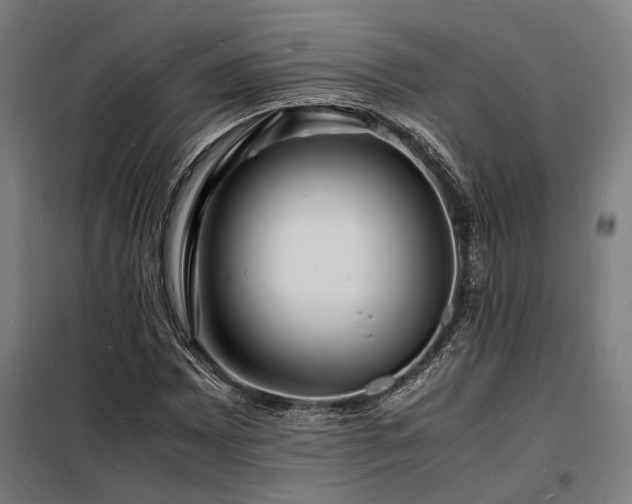 X0000098181065200804241216