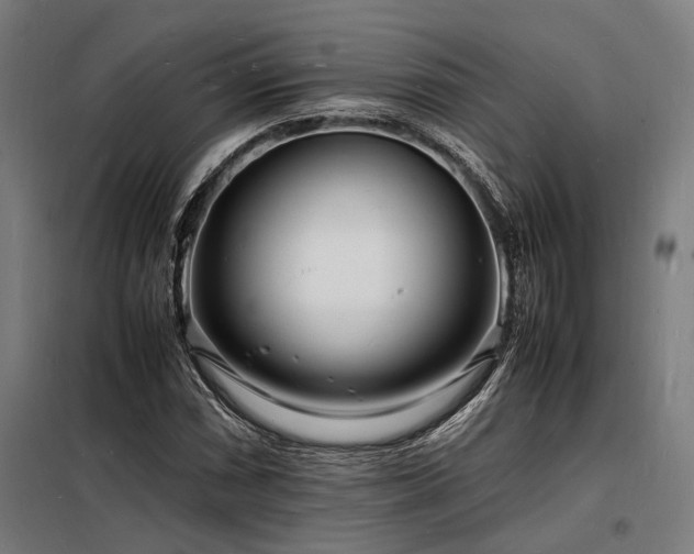 X0000098181066200804241216
