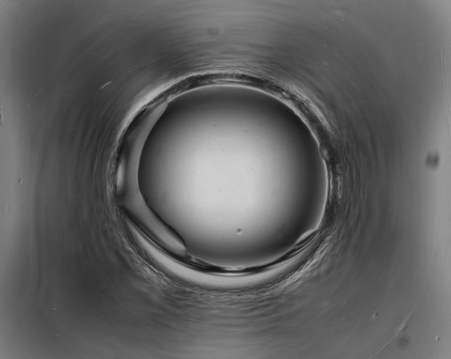 X0000098181069200804241216