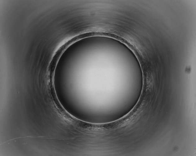 X0000098181070200804241216