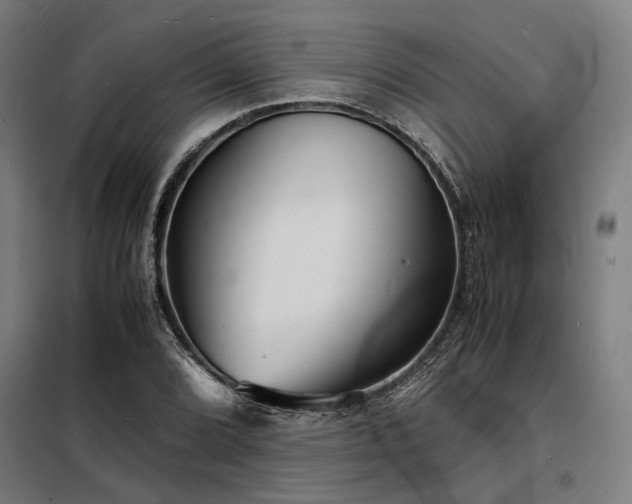 X0000098181072200804241216