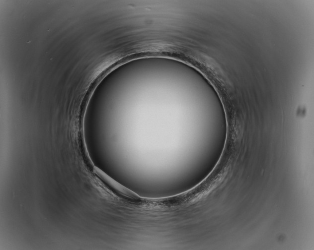 X0000098181073200804241216