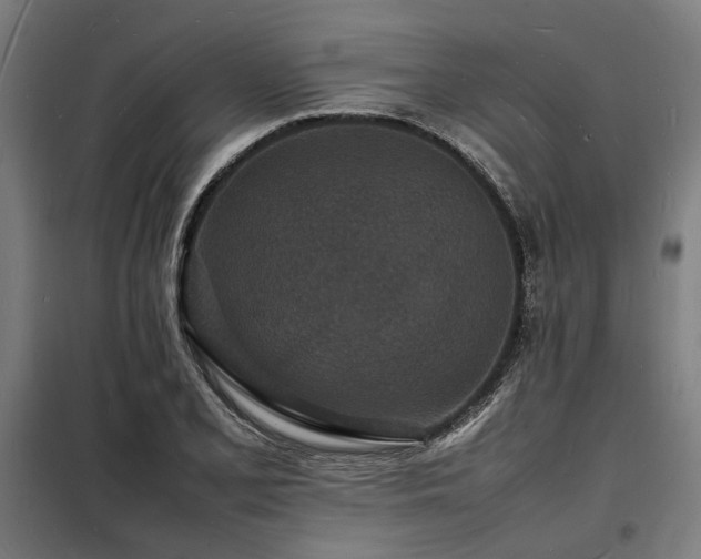 X0000098181077200804241216