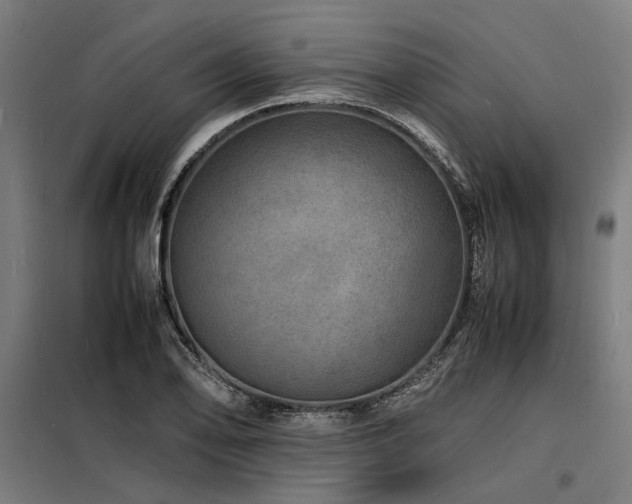 X0000098181078200804241216