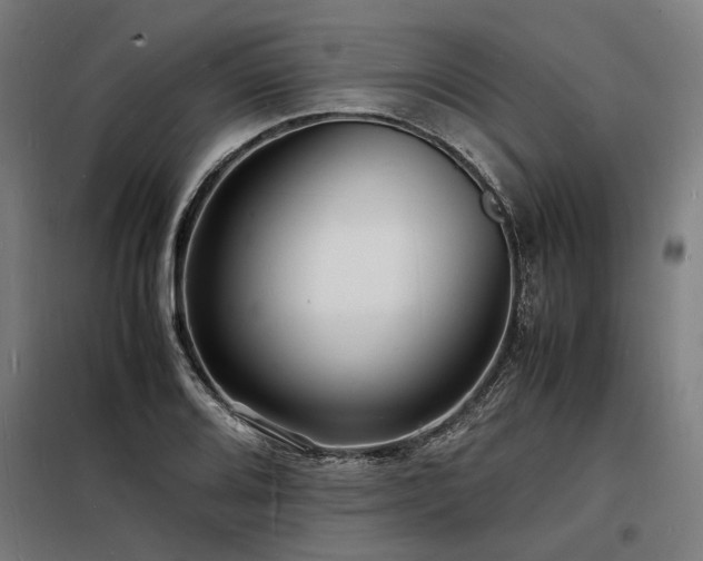 X0000098181080200804241216