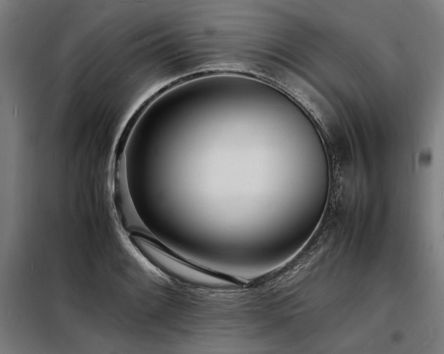 X0000098181084200804241216