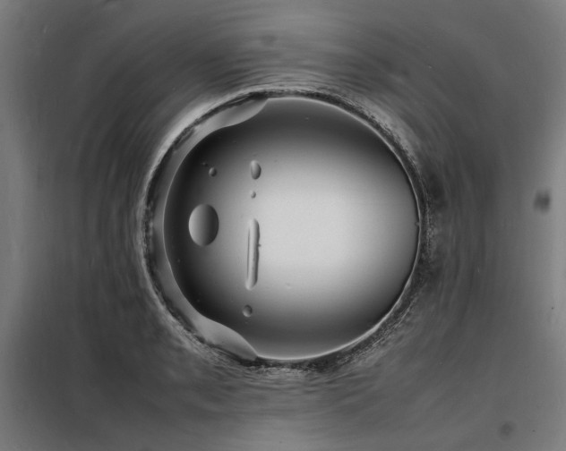 X0000098181085200804241216