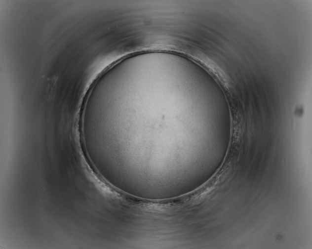 X0000098181086200804241216