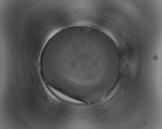 X0000098181087200804241216