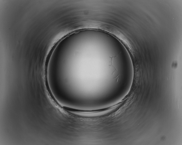 X0000098181088200804241216