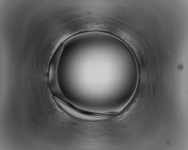 X0000098181089200804241216