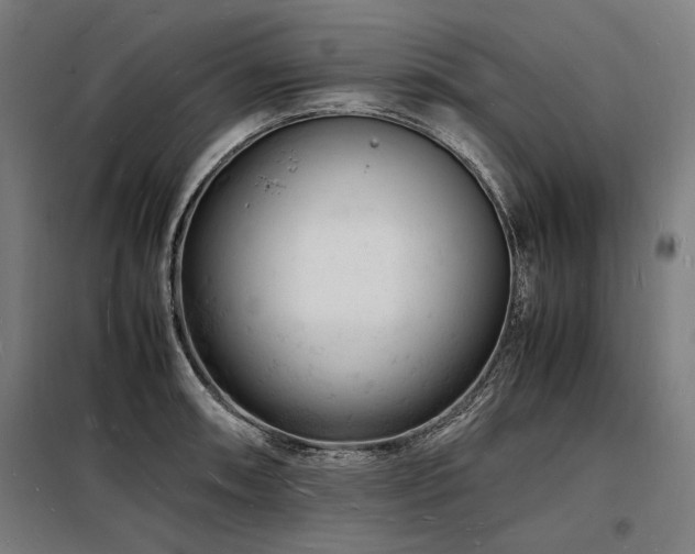 X0000098181090200804241216