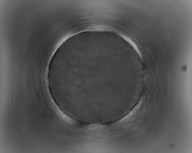 X0000098181091200804241216