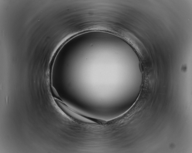 X0000098181092200804241216