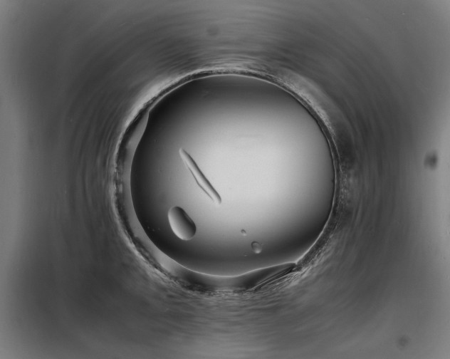 X0000098181093200804241216
