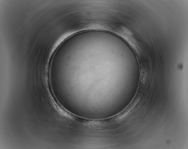 X0000098181094200804241216