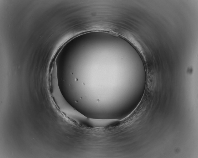 X0000098181096200804241216