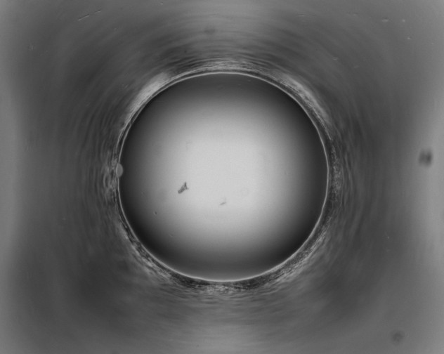 X0000098181097200804241216