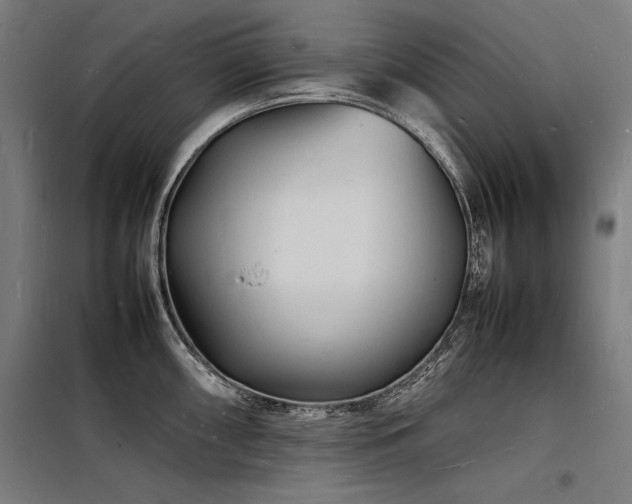 X0000098181098200804241216