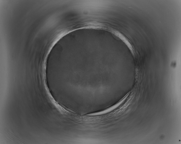 X0000098181099200804241216