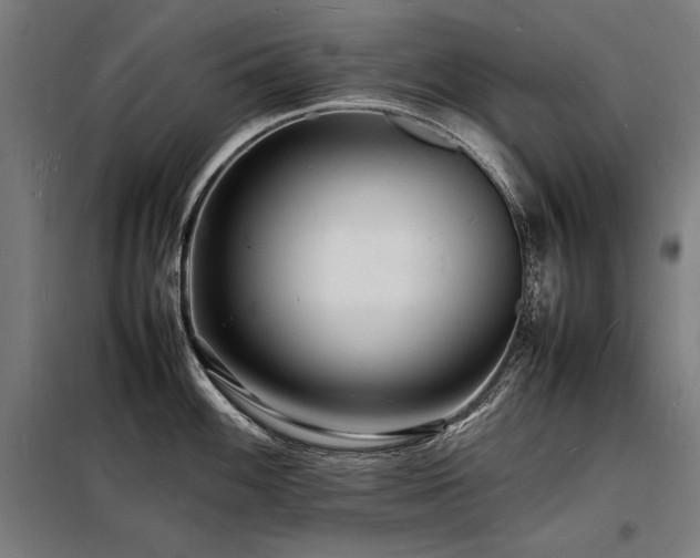 X0000098181100200804241216