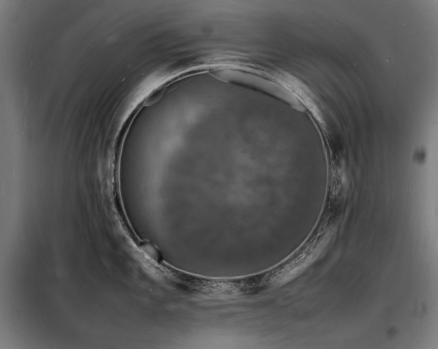 X0000098181101200804241216
