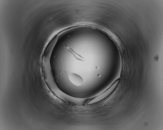 X0000098181102200804241216