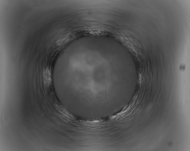 X0000098181106200804241215