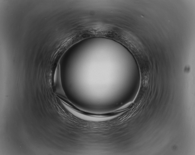 X0000098181108200804241215
