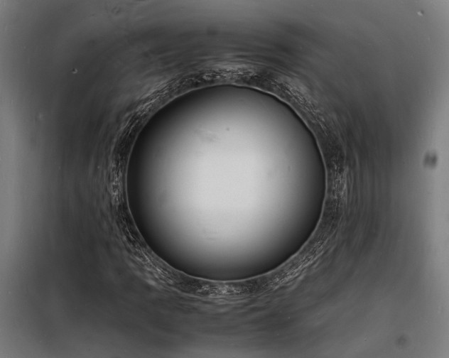 X0000098181109200804241215