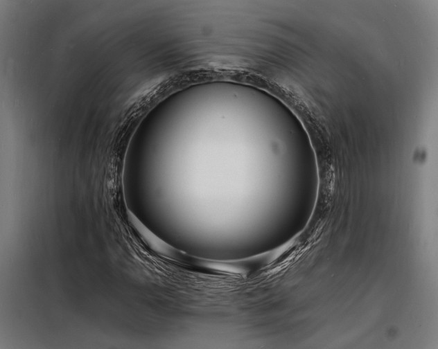X0000098181110200804241215