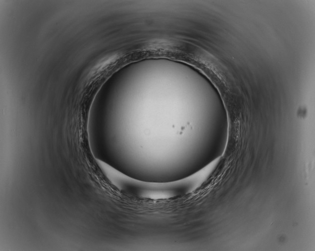 X0000098181111200804241215